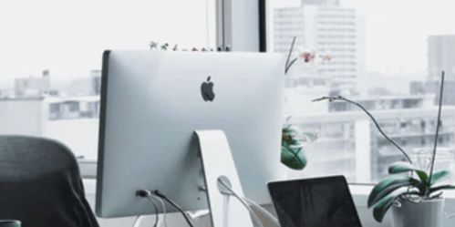 敢于做企業(yè)登頂路上的 陪跑者